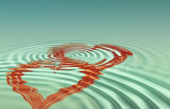 كازينو باربادوس بينجو الدعم